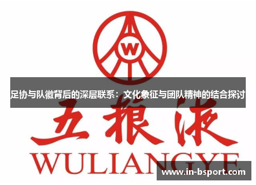 足协与队徽背后的深层联系：文化象征与团队精神的结合探讨