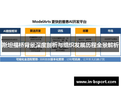 斯坦福桥背景深度剖析与组织发展历程全景解析 斯坦福桥背景深度剖析与组织发展历程全景解析