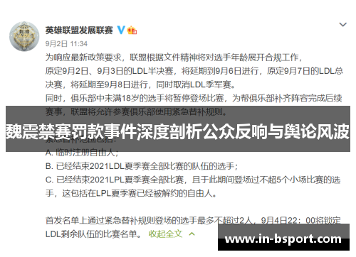 魏震禁赛罚款事件深度剖析公众反响与舆论风波 魏震禁赛罚款事件深度剖析公众反响与舆论风波