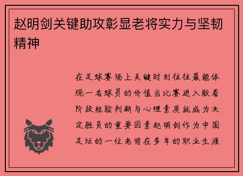 赵明剑关键助攻彰显老将实力与坚韧精神